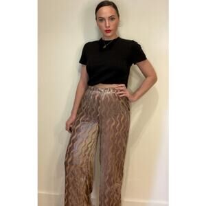 Urban Renewal Vintage Velvet Burnout Sheer Print Gold Metallic Pants Sz S/P